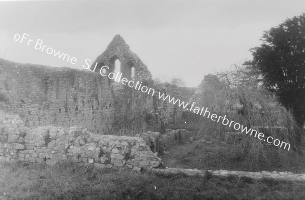 ATHASSEL PRIORY  S. SIDE OF CLOISTER & CLOISTER PATH FROM E. BUILDINGS